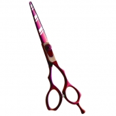 Professional Hair Cutting Scissors